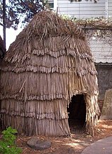 Ohlone Hut – Mission Dolores San Francisco