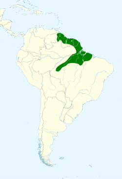 Distribución geográfica del picogrueso rojinegro.