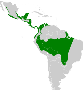 Distribución geográfica del titira enmascarado.