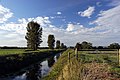 Image 17The River Brue in an artificial channel draining farmland near Glastonbury (from Somerset)