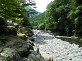 上流の川辺