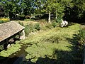 Lavoir