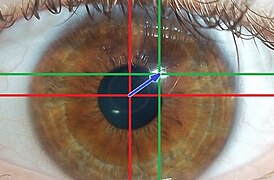 Visible light: center of iris (red), corneal reflection (green), and output vector (blue).