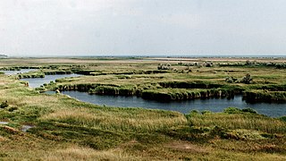 За околицею с. Старопетрівка