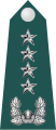 Daejang (대장) (Republic of Korea Army)