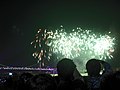 2008 부산불꽃축제