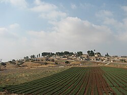 מבט מצומת אלומות