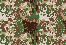 Коммерческий Arid Flecktarn