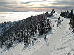 Utsikt från Big Mountain i närheten av Whitefish.