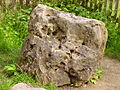 The Blowing Stone