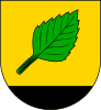 Coat of arms of Březová