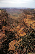 Canyonlands.