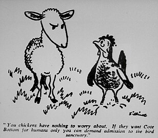 1952 cartoon referencing the dispute (Worthing Herald)[32]