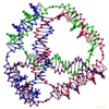 A molecular model of a DNA tetrahedron, where each edge is a DNA duplex and each vertex is a three-arm junction.