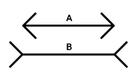 Il segmento A può sembrare più corto rispetto al segmento B, in realtà le lunghezze sono uguali.