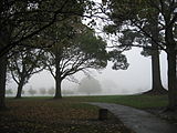 North Hagley Park, nebeliger Morgen