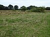 Hall Farm Fen, Hemsby