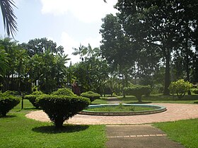 Image illustrative de l’article Jardin botanique de Cayenne