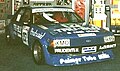 バサースト12時間を制覇したファルコン（1981年）