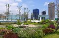 Rooftop garden