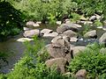 River Uzh in the city park