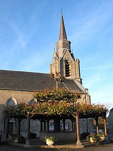 Église Saint Jean-Baptiste et tilleul.