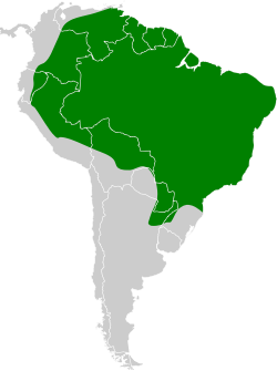 Distribución geográfica del copetón feroz.