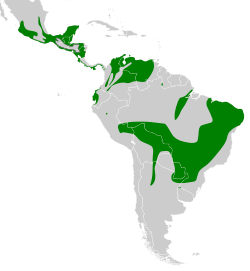 Distribución geográfica del fiofío verdoso.