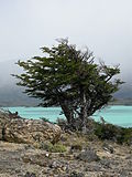 Miniatura para Parque nacional Perito Moreno