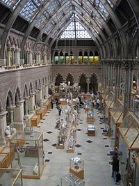 Oxford University Museum of Natural History interior