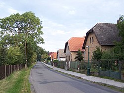 A road in Petříkov