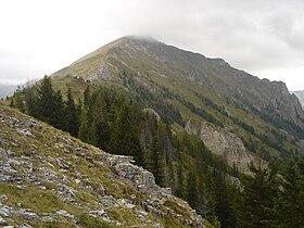 Сртот на врвот Плат