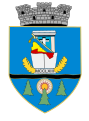 Coat of Arms of Beiuş
