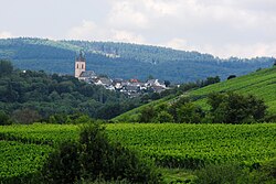 From Walluftalbrücke of B 42 across vineyards, surrounded by Taunus mountains