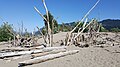 Wooden structure on the island