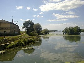 The Saône