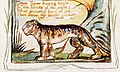 Songs of Innocence and of Experience copy Y object 42 The Tyger-Detail