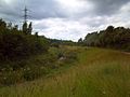 Grassland areas along the Tame embankments.