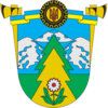 Coat of arms of Verkhovyna Raion