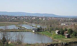 Озерний край. Краєвид на село Болехівці