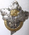 Croatian trefoil badge worn by Royal Croatian Home Guard during Austria-Hungary, depicting oak leaves[3]
