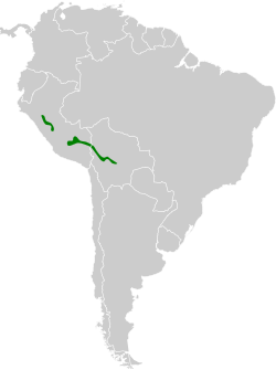 Distribución geográfica del canastero del Urubamba.