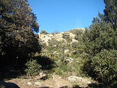 Le chaos rocheux au-dessus du dolmen.