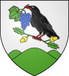 Blason de Vázsnok