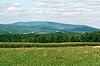 View of a distant tree-covered mountain with fields and forests in the foreground