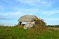 Dolmen dit La Pierre Levée de Soubise.