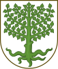Coat of arms of Ærøskøbing