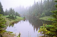 Étang de castor, île d'Anticosti