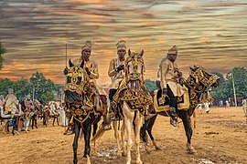 Parade équestre au Festival du Durbar