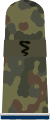 Sanitätssoldat SanOA (Army MOA mounting loop, field uniform, studying veterinary medicine)
